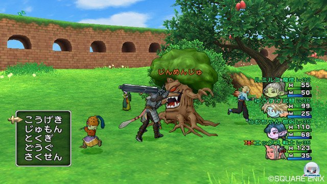 Screenshot - Dragon Quest X Online (Wii) 2368862