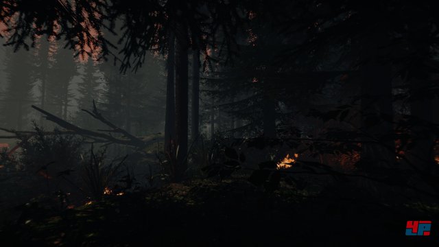 Screenshot - The Forest (PC) 92475920
