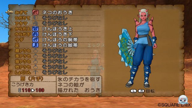 Screenshot - Dragon Quest X Online (Wii) 2292917