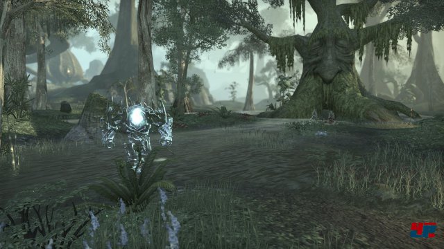 Screenshot - The Elder Scrolls Online (PC) 92480390