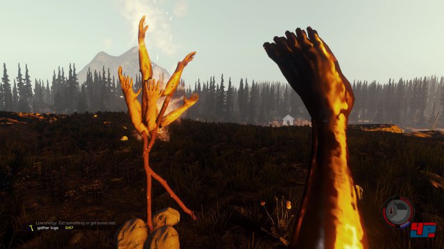 Screenshot - The Forest (PC) 92498542