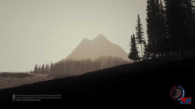 Screenshot - The Forest (PC) 92486553