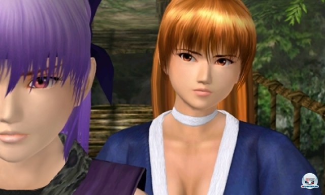 Screenshot - Dead or Alive: Dimensions (NDS) 2224189