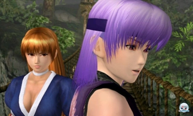 Screenshot - Dead or Alive: Dimensions (NDS) 2224187