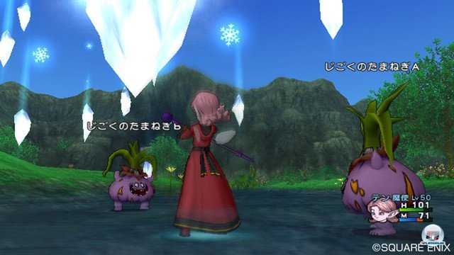 Screenshot - Dragon Quest X Online (Wii) 2370802