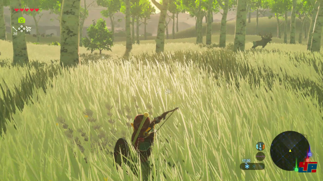 Screenshot - The Legend of Zelda: Breath of the Wild (Switch) 92541341