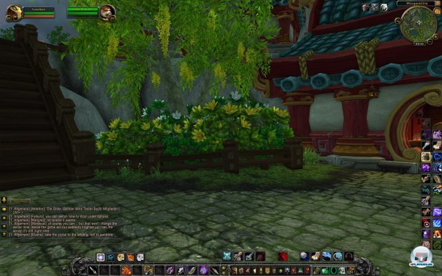 Screenshot - World of WarCraft: Mists of Pandaria (PC) 2334017