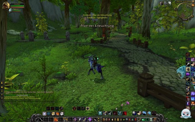 Screenshot - World of WarCraft: Mists of Pandaria (PC) 2334082