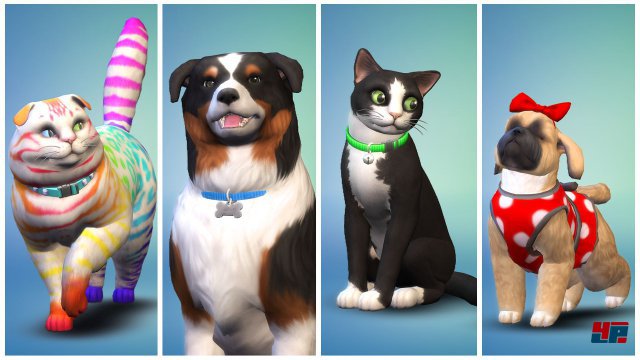 Screenshot - Die Sims 4: Hunde & Katzen (Mac) 92551563