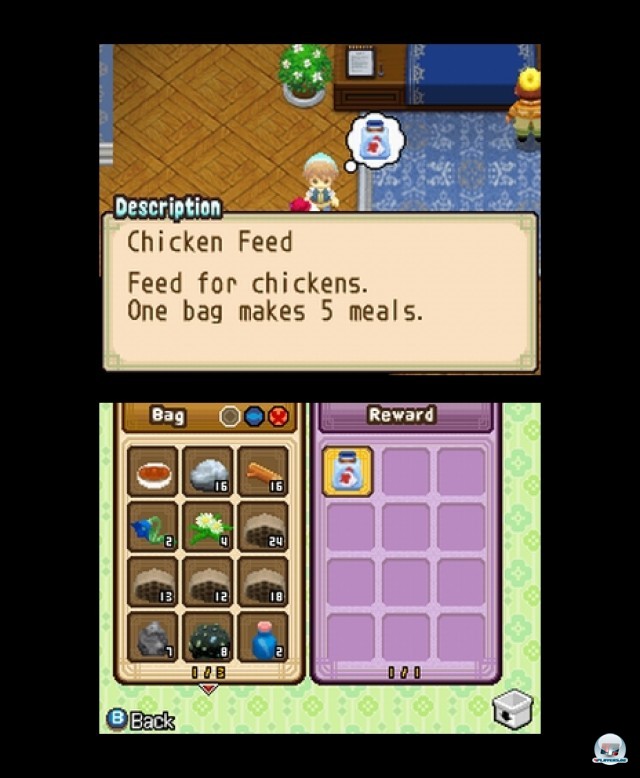 Screenshot - Harvest Moon: The Tale of Two Towns (NDS) 2232052