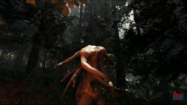 Screenshot - The Forest (PC) 92479326