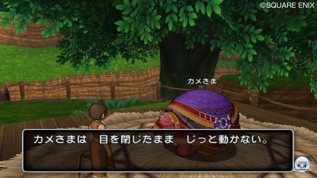 Screenshot - Dragon Quest X Online (Wii) 2308707