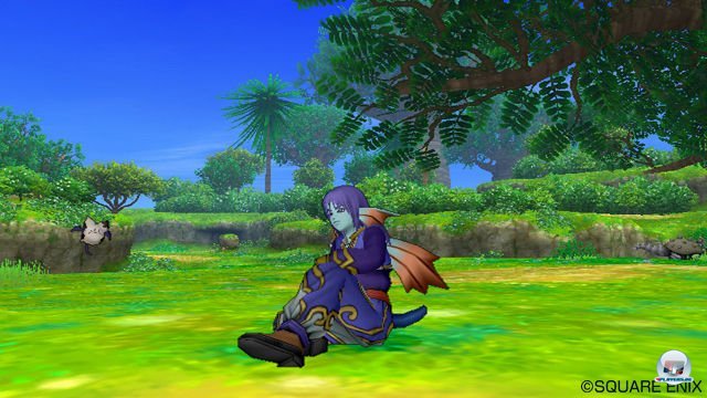 Screenshot - Dragon Quest X Online (Wii) 2289967