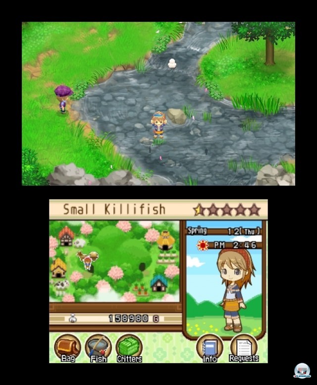 Screenshot - Harvest Moon: The Tale of Two Towns (3DS) 2232184