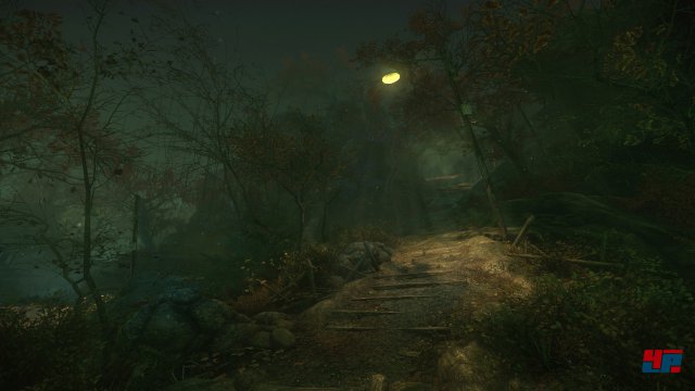 Screenshot - The Cursed Forest (PC) 92583178