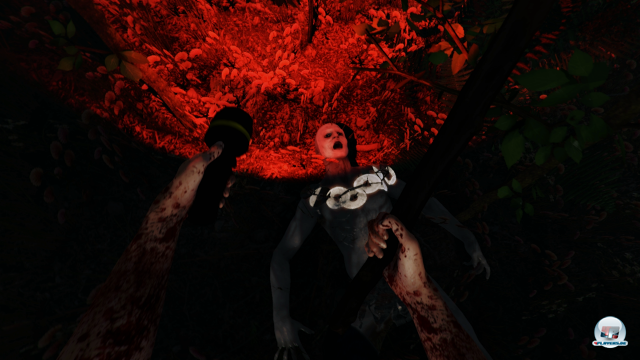 Screenshot - The Forest (PC) 92472300