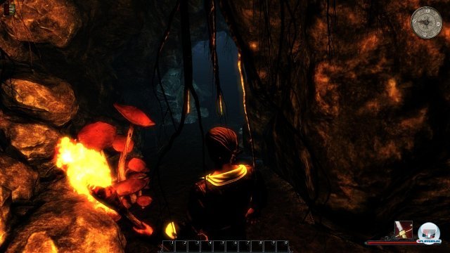 Screenshot - Risen 2: Dark Waters (PC) 2344482