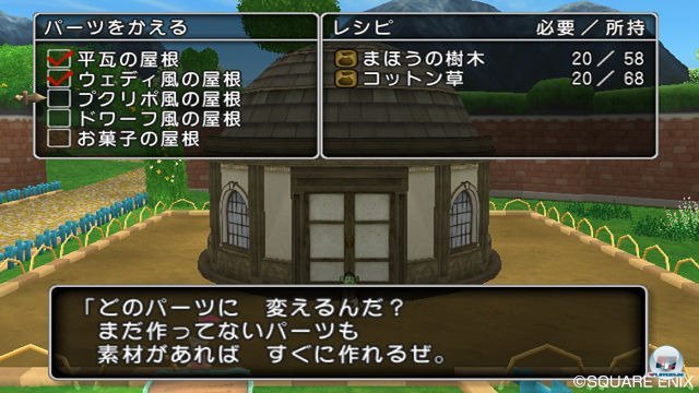 Screenshot - Dragon Quest X Online (Wii) 2301987