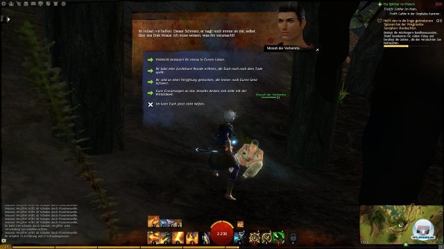 Screenshot - Guild Wars 2 (PC) 2396267