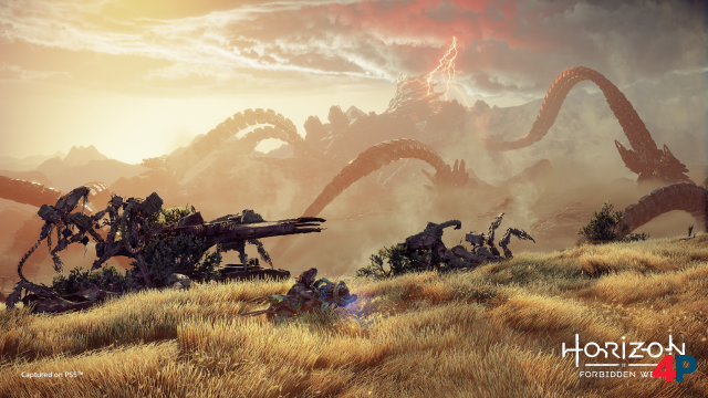 Screenshot - Horizon: Forbidden West (PlayStation5) 92615553