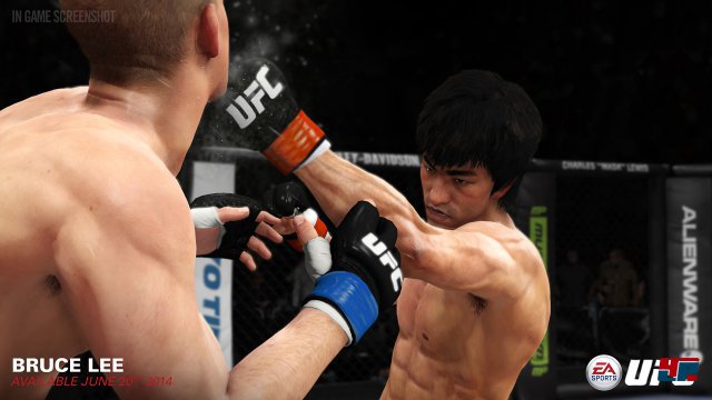 Screenshot - EA Sports UFC (PlayStation4) 92485093