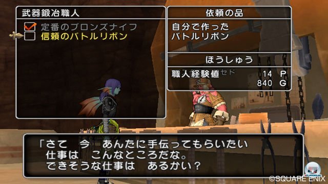 Screenshot - Dragon Quest X Online (Wii) 2335547
