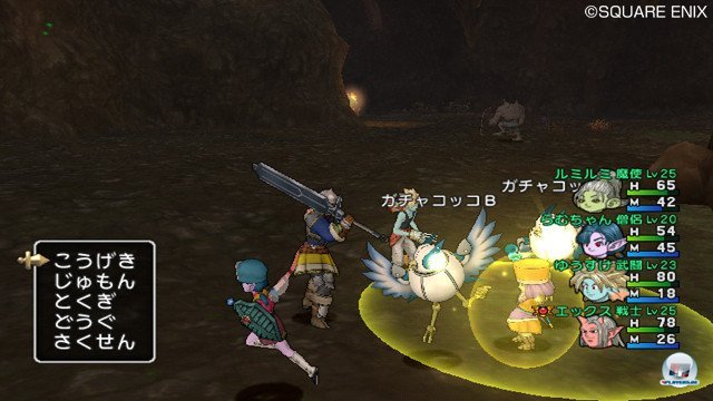 Screenshot - Dragon Quest X Online (Wii) 2368817