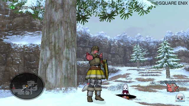 Screenshot - Dragon Quest X Online (Wii) 2355372