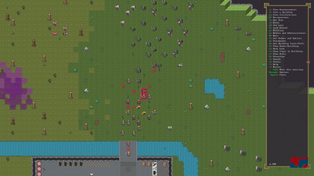 Screenshot - Dwarf Fortress (PC)