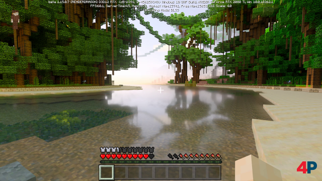 Screenshot - Minecraft (PC) 92610903