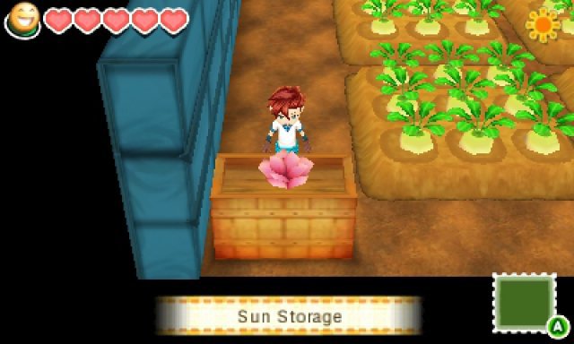 Screenshot - Story of Seasons (3DS) 92499542
