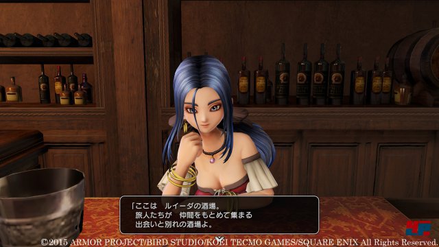 Screenshot - Dragon Quest Heroes (PlayStation3) 92498642