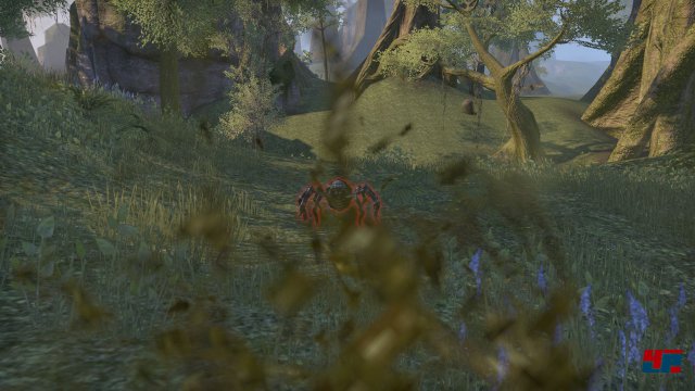 Screenshot - The Elder Scrolls Online (PC) 92480222