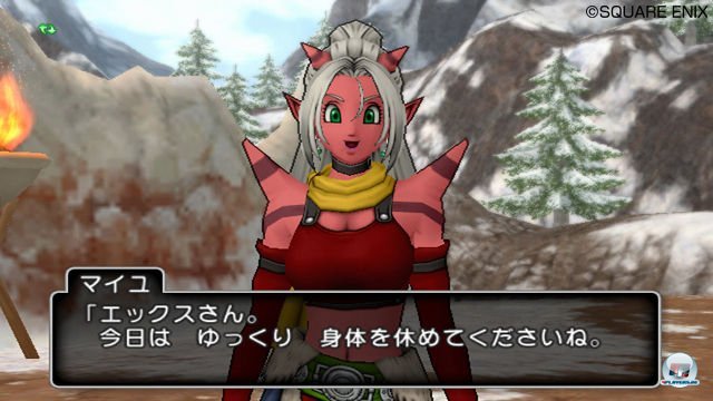 Screenshot - Dragon Quest X Online (Wii) 2335612
