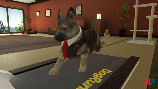 Screenshot - Little Friends: Dogs & Cats (Switch)