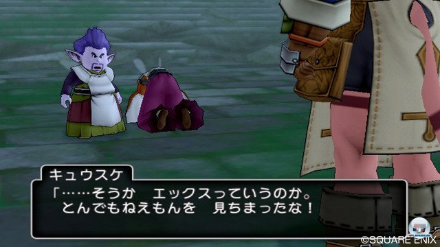 Screenshot - Dragon Quest X Online (Wii) 2357172