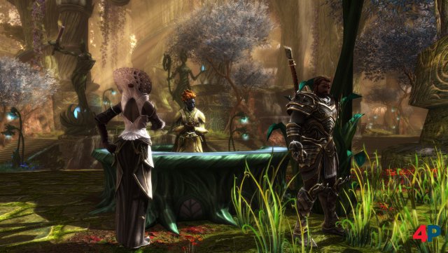Screenshot - Kingdoms of Amalur: Re-Reckoning (PC)