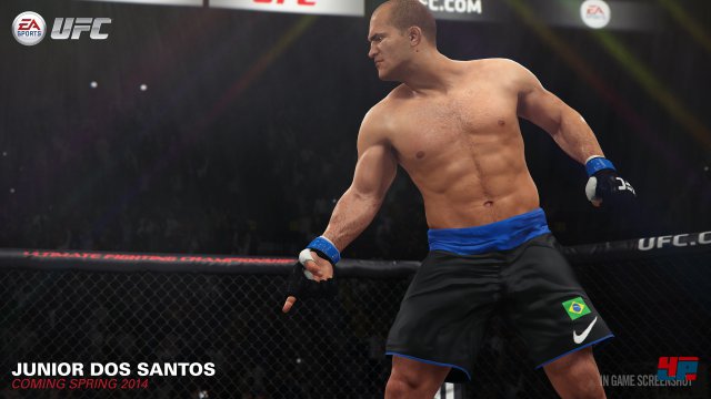 Screenshot - EA Sports UFC (PlayStation4) 92482809