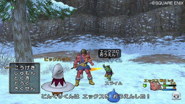 Screenshot - Dragon Quest X Online (Wii) 2353267