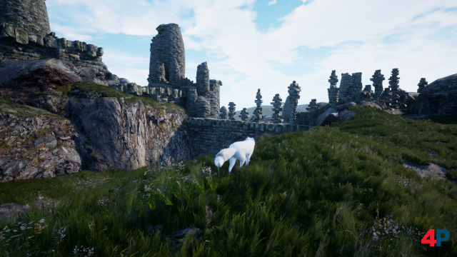 Screenshot - Spirit of the North (PS4)