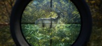theHunter: Call of the Wild: DLC "Medved-Taiga Nationalpark" angekndigt