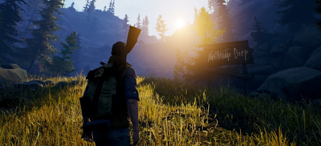 Open Country (Survival & Crafting) von 505 Games