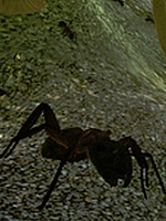 Alle Infos zu Ant Simulator (PC,PlayStation4)