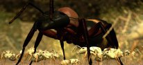 Ant Simulator: Die Welt als Ameise erkunden