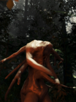 Alle Infos zu The Forest (PlayStation4)