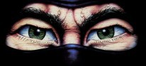 The Last Ninja: Passend zum 30. Jubilum wird ein HD-Remake des C64-Klassikers in Betracht gezogen