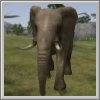 Alle Infos zu Wild Earth: African Safari (Wii)