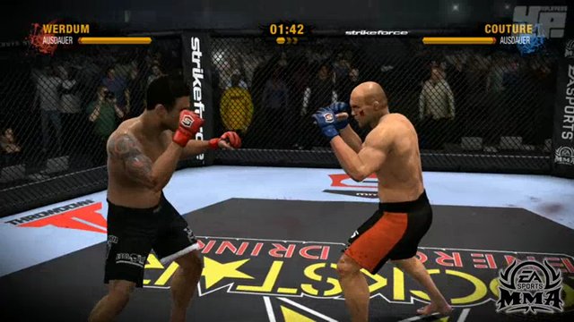 MMA/UFC-Vergleich: Standup