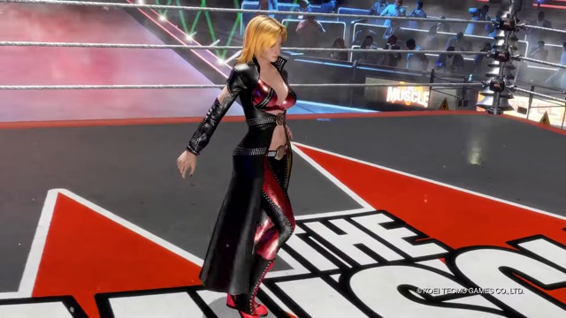 Three Rumble Ready Fighters