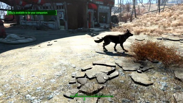 Dogmeat & Other Companions
